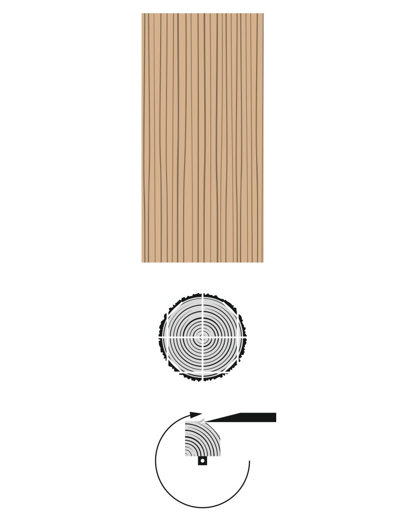 picture alternative text