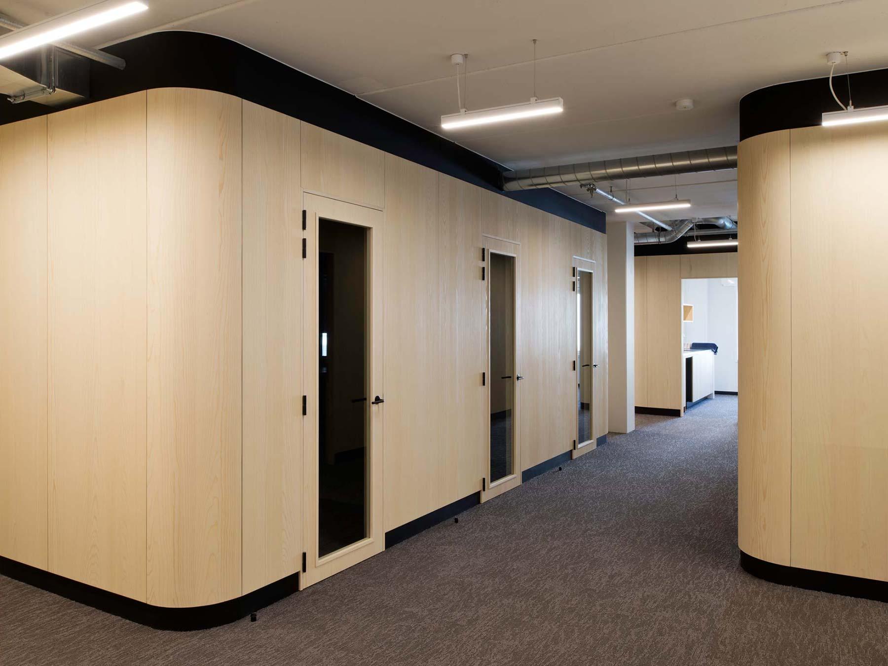 picture alternative text