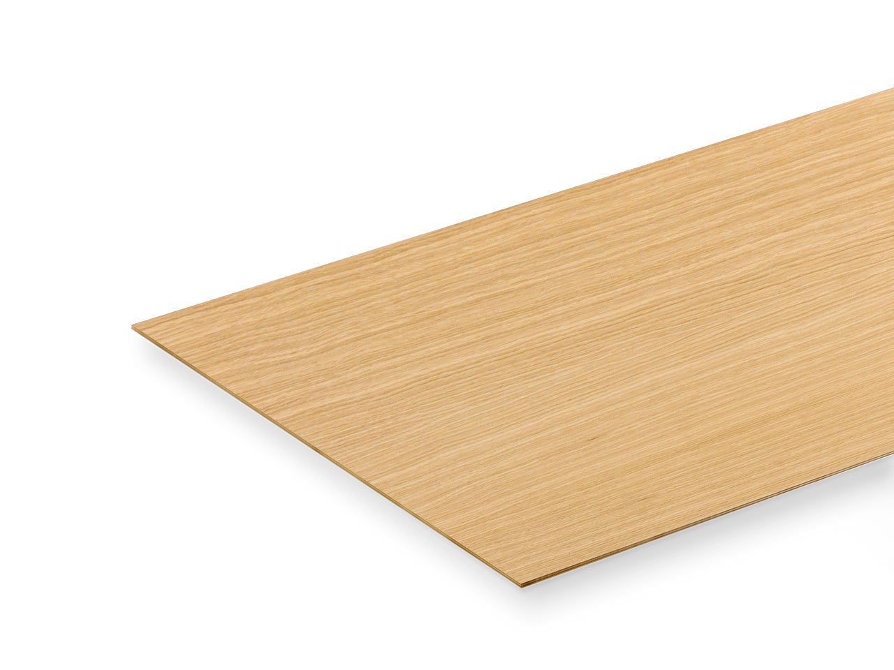 picture alternative text