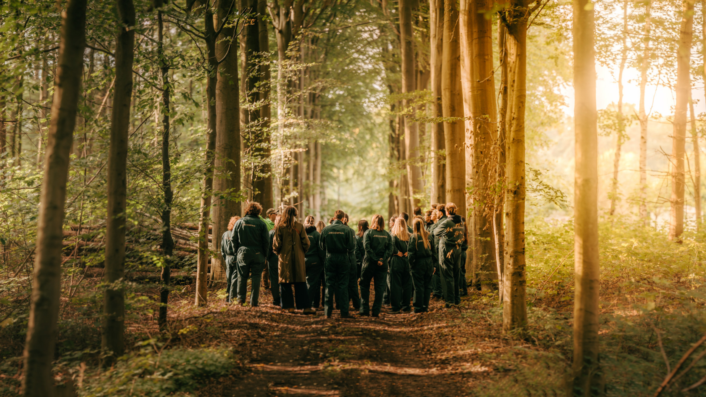 picture alternative text