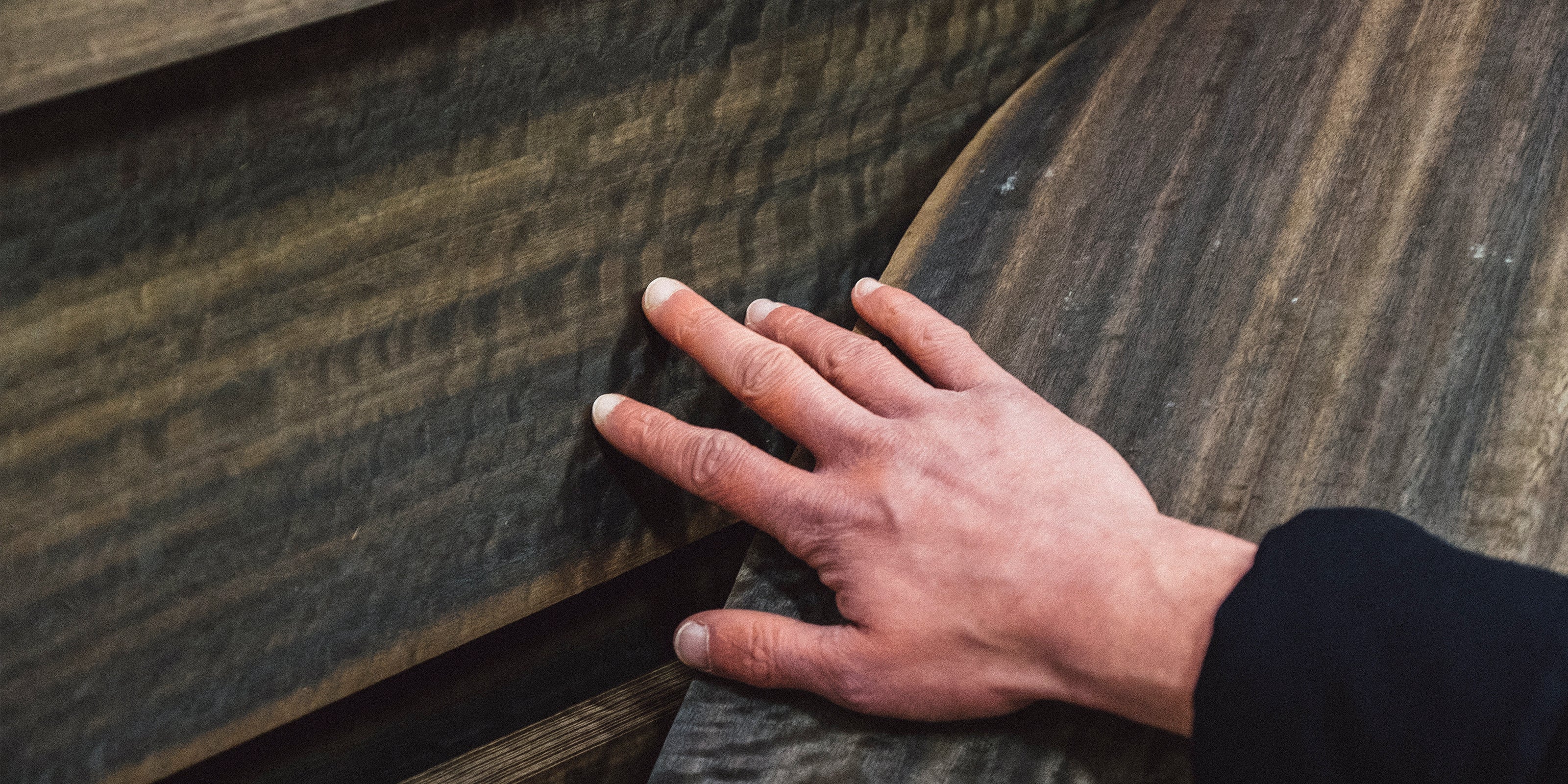 picture alternative text