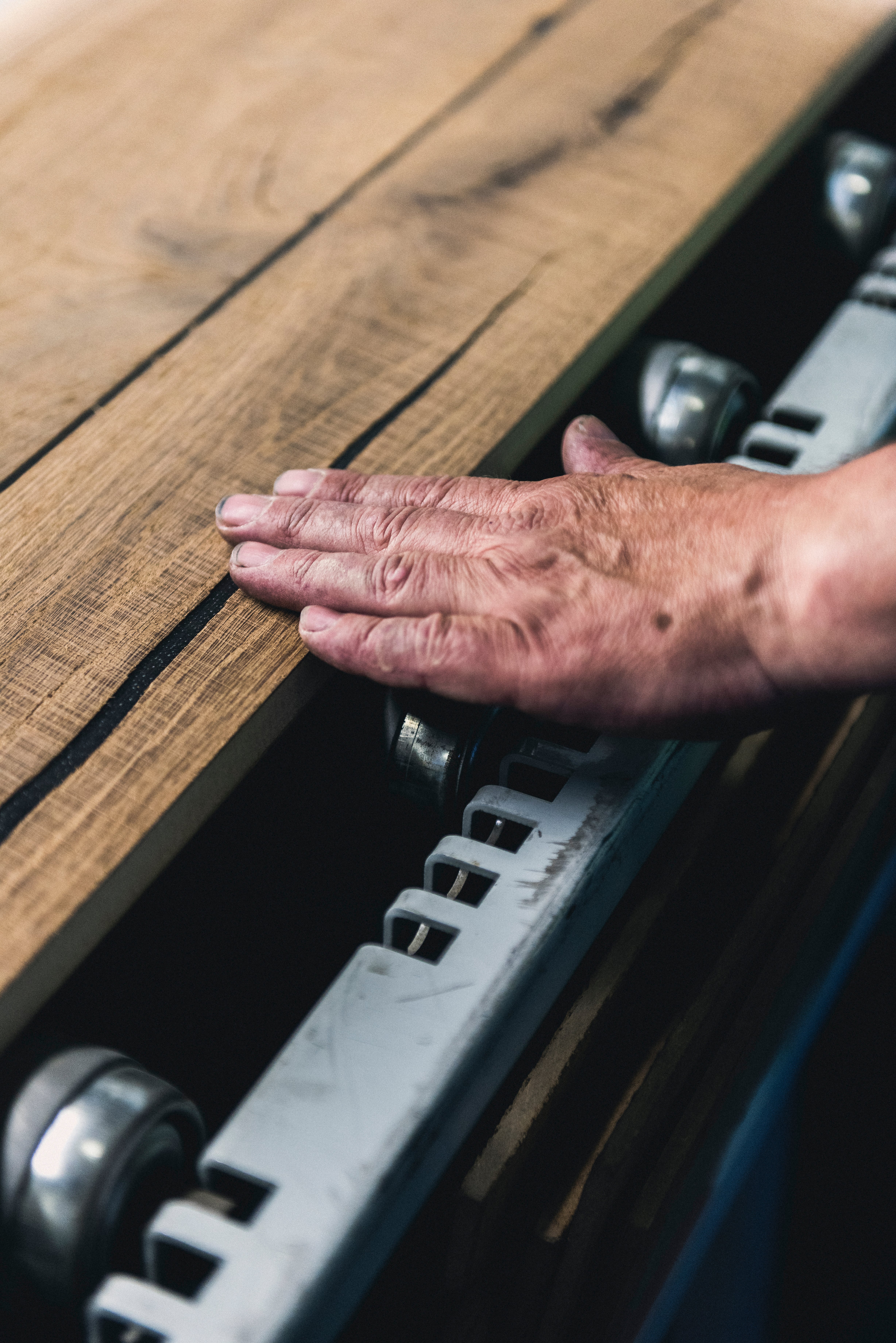 picture alternative text