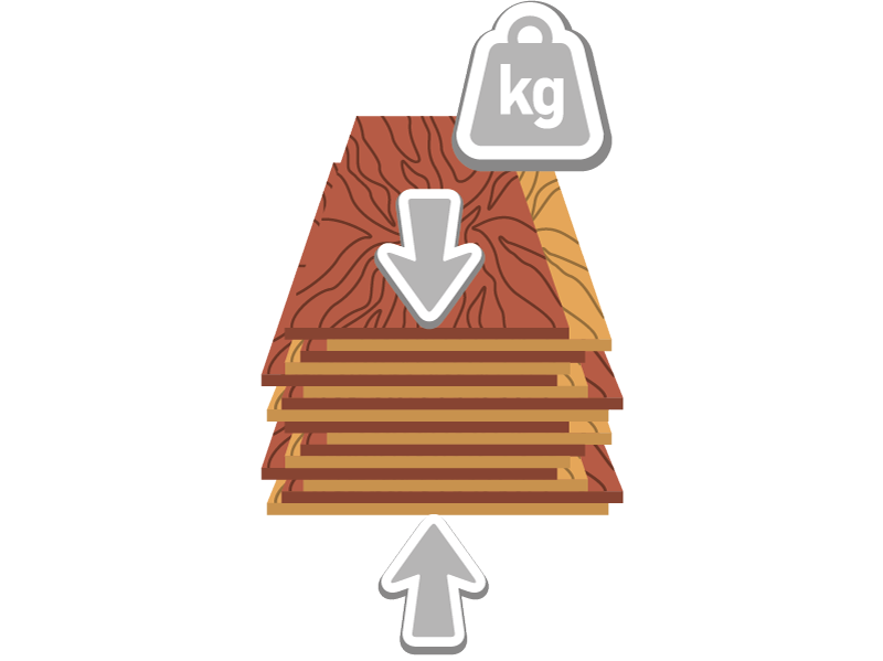 picture alternative text