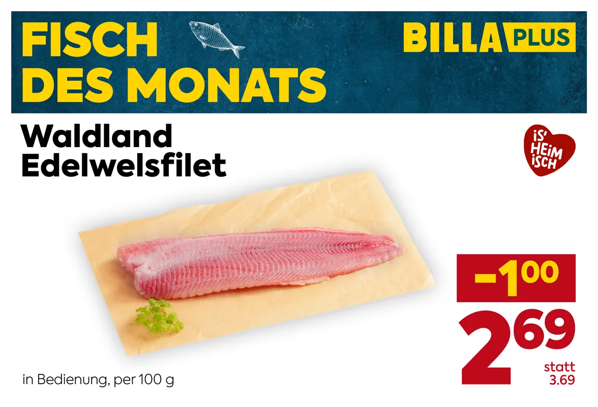 BILLA PLUS Angebot „Fisch des Monats“: Waldland Edelwelsfilet in Bedienung. Abgebildet ist ein rohes Edelwelsfilet auf Papier mit einem kleinen Kräuterzweig. Preis: 2,69 € pro 100 g statt 3,69 €, Ersparnis 1,00 €. Zusätzlich ist das „is' heimisch“-Siegel abgebildet.