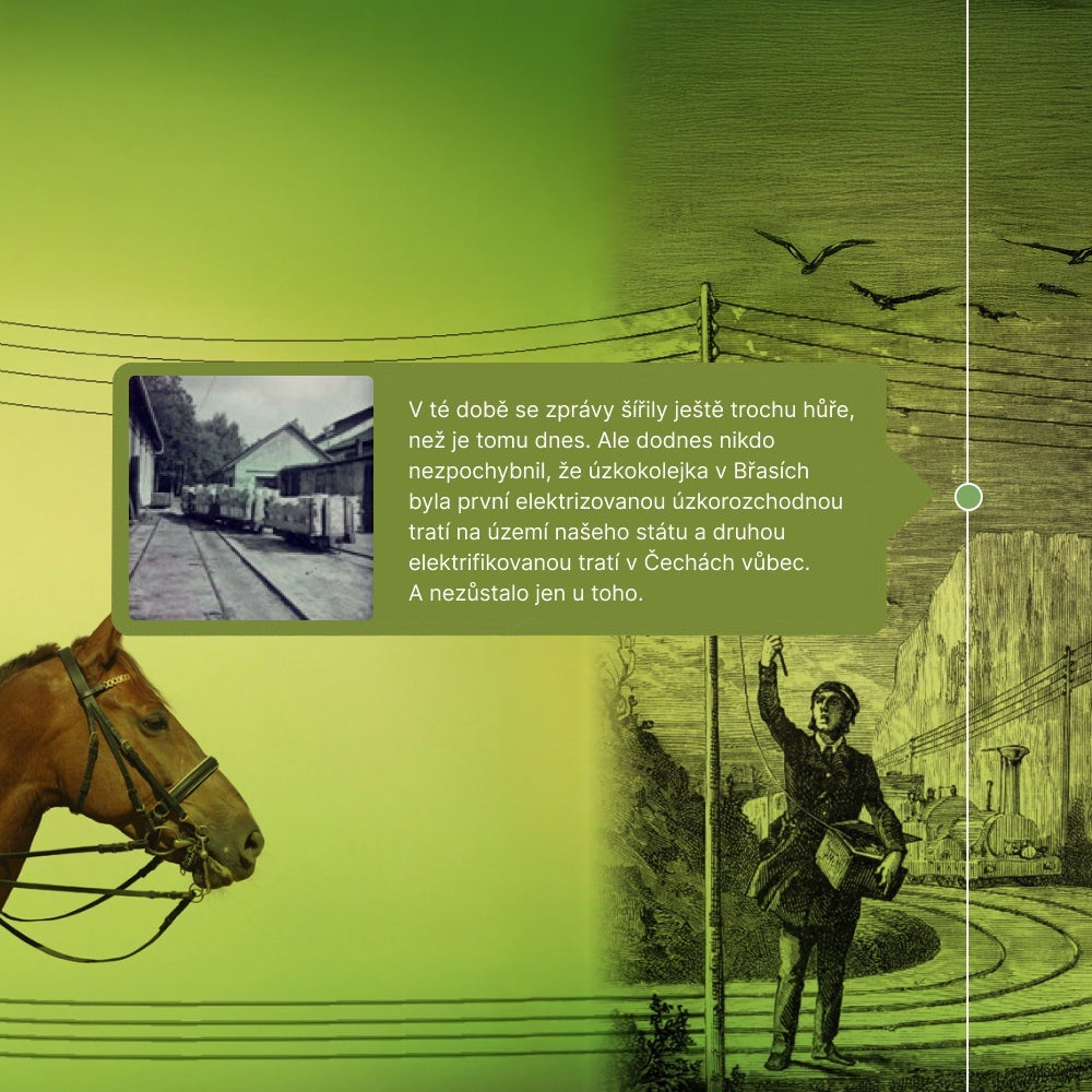 Kůň a muž na zeleném pozadí