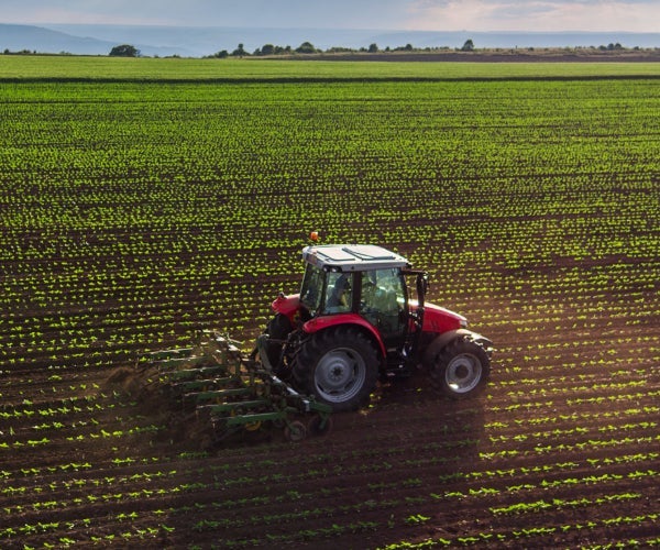 Tractor and plough working through a large green field