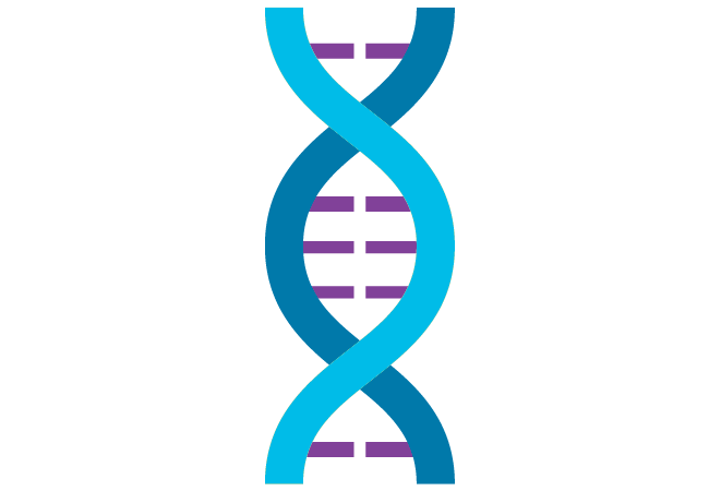 DNA 