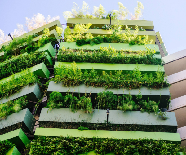 Plants growing on the exterior of a white building