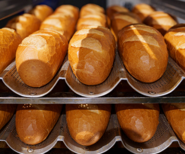 Baked rolls resting on silver perforated baking straps