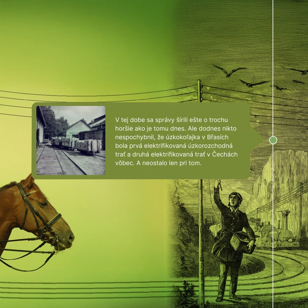 Kôň a muž na zelenom pozadí