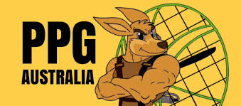 Meta description What are the rarest LEGO pieces? How have the sizes of LEGO sets changed over time?