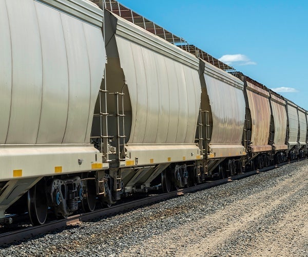 A train on the tracks