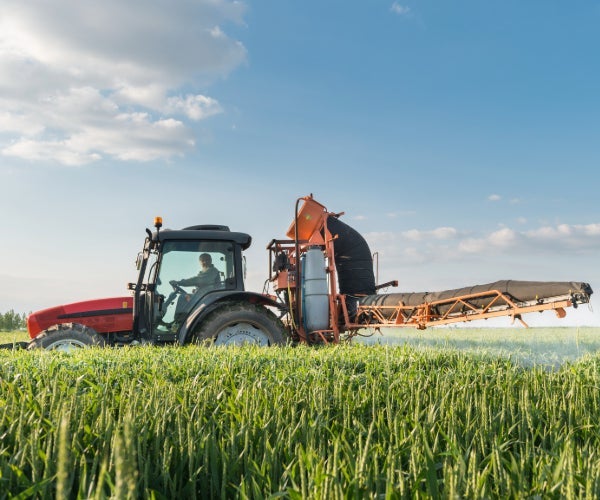 Tractor with harvester attachment in field of green plants