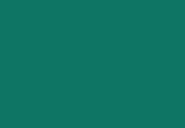 Vert Pin