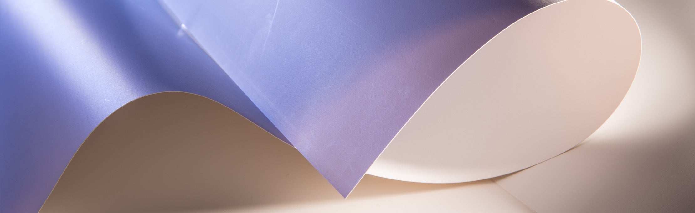 paper curled up