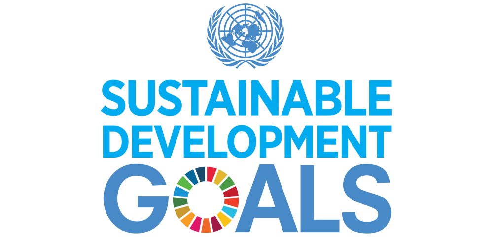 Sustainable Development Goals logo