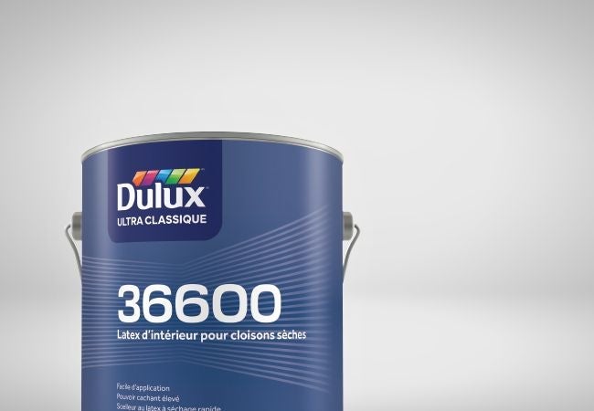 Primer -FR-650X450