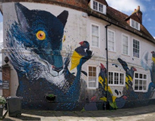 An abstract mural on a building featuring a cat-like animal and several birds.