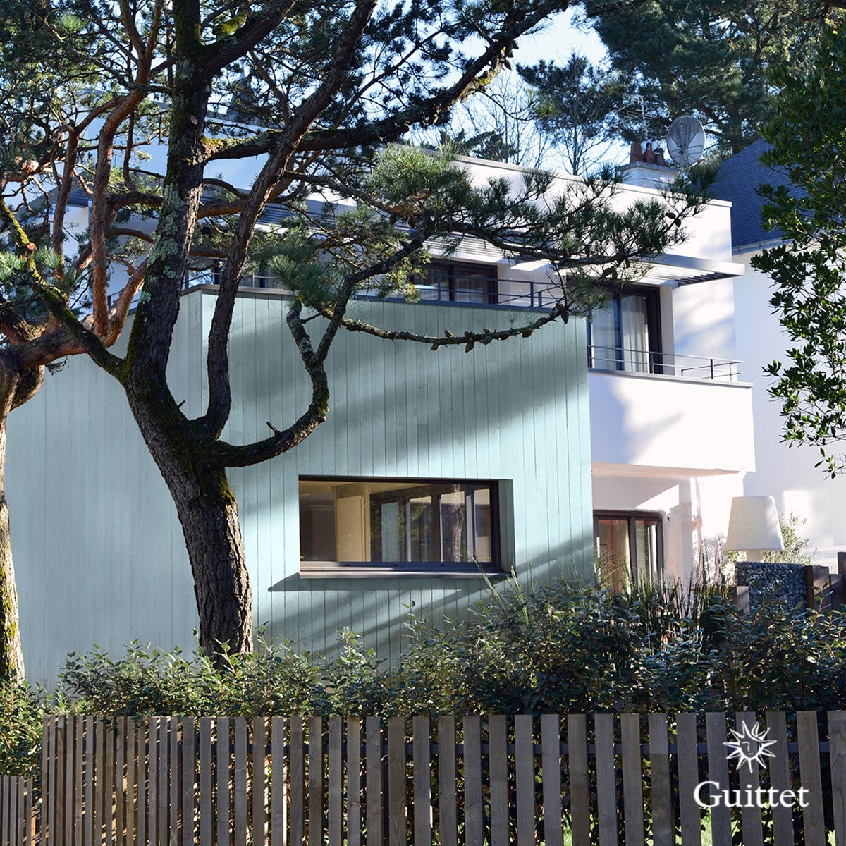 Un arbre à côté d'un bâtiment