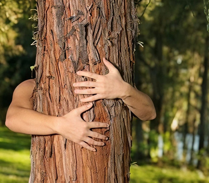 A person hugging a tree