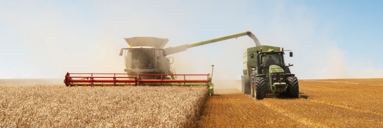 Combine harvester harvesting grain in field and loading into a trailer