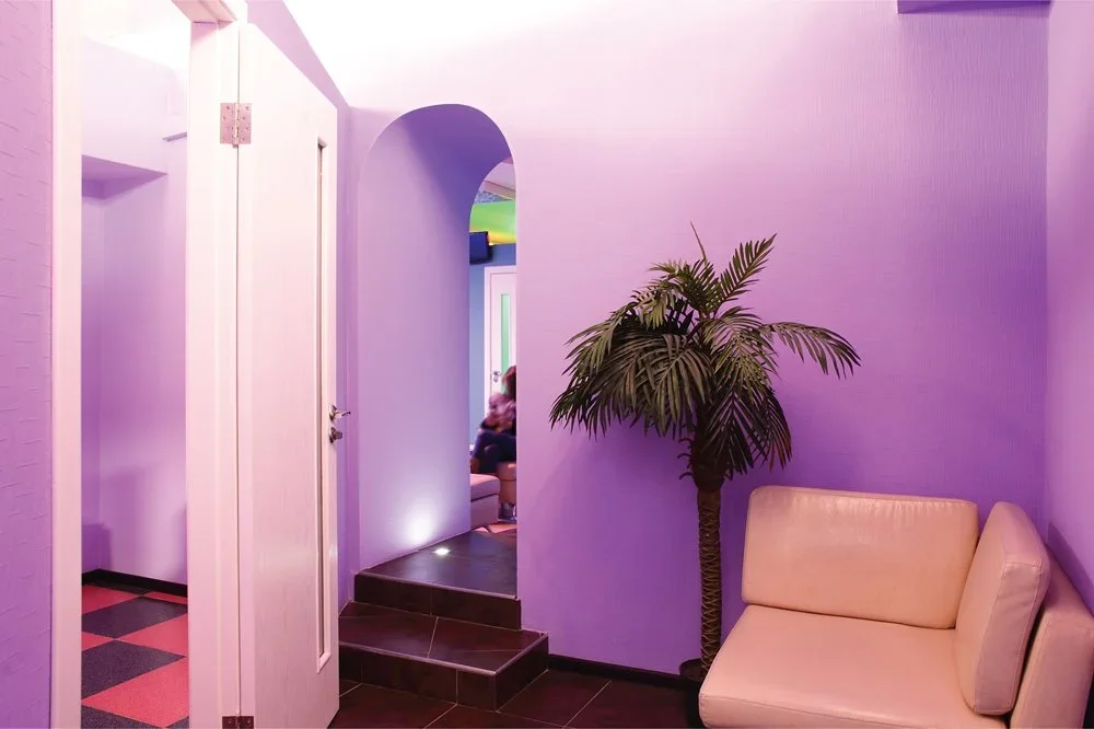 Una pared morada con un sofá y una planta