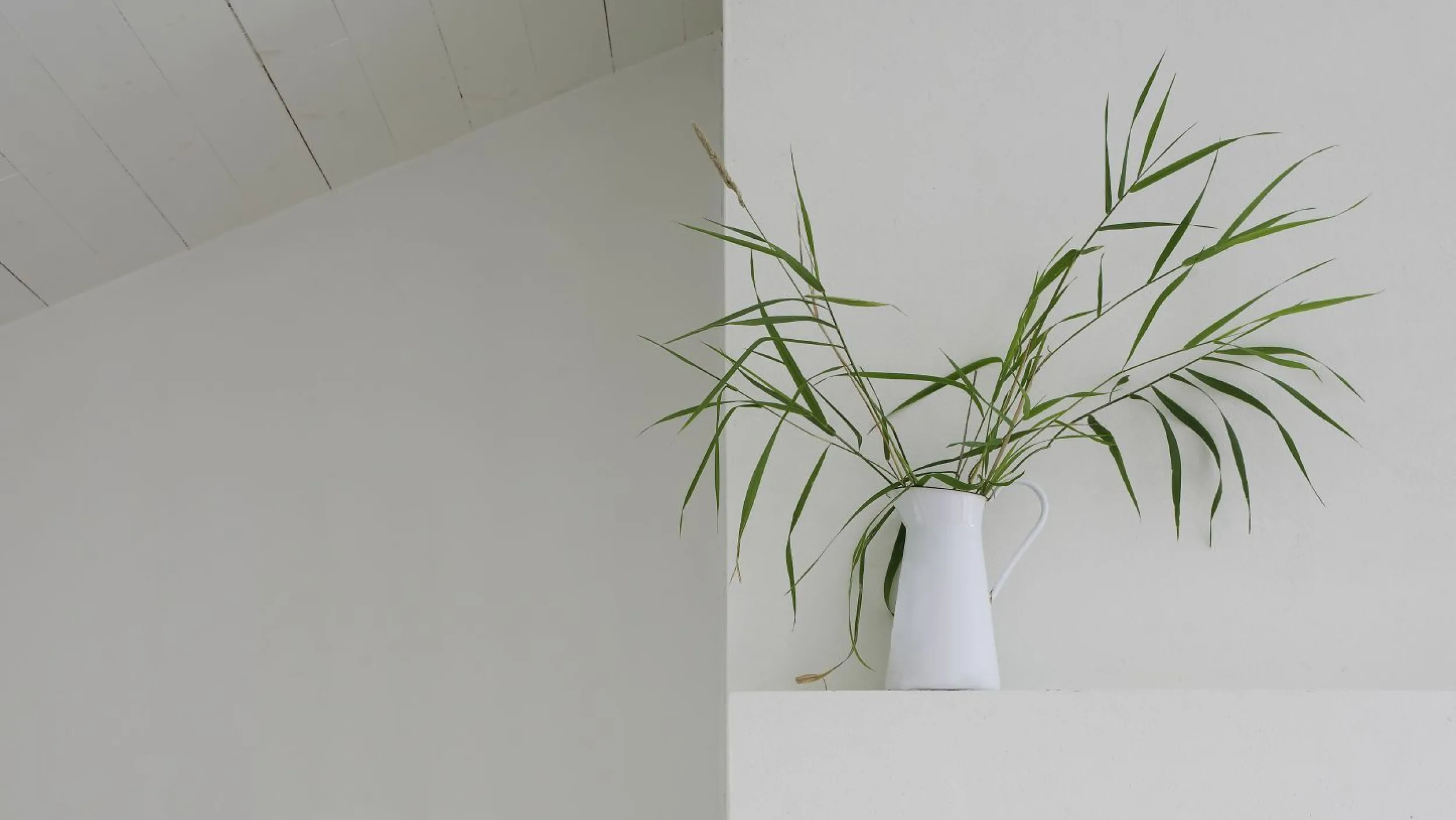 alcro ad.white