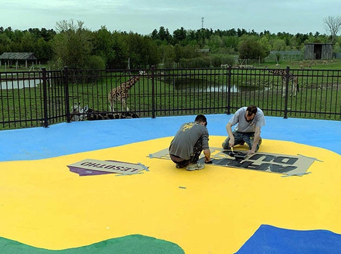 Workers applying  Area Markings at Parc Safari in Hemingford in the shape of a map of Africa