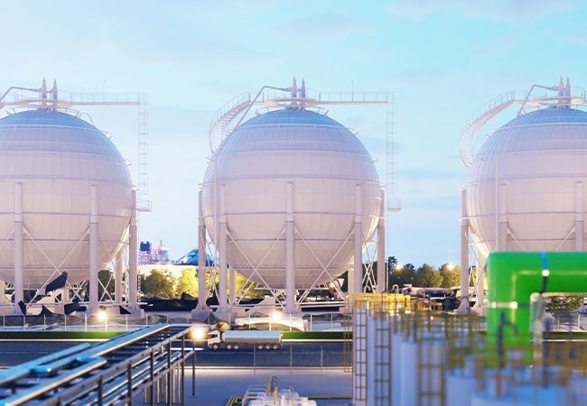 A group of white spherical structures