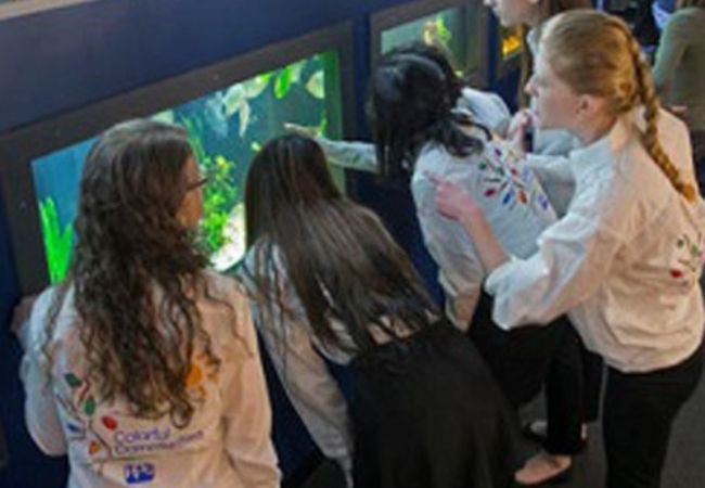 girls looking at fish at aquarium in Milwaukee, Wisconsin 