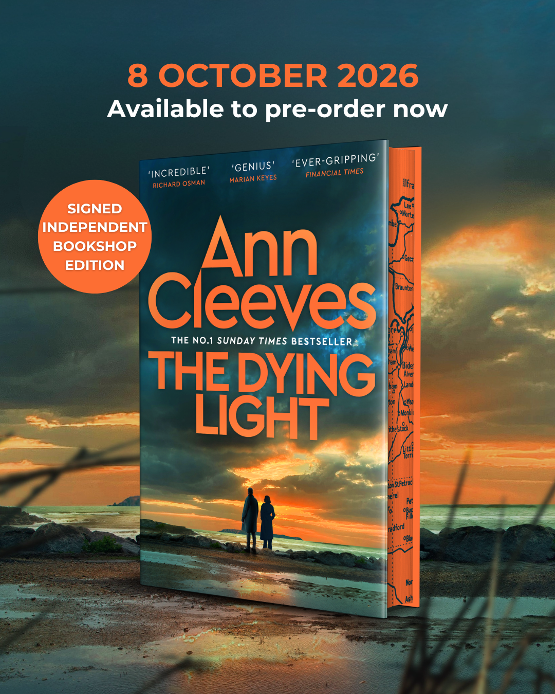 The Dying Light cover reveal (static) (1080 x 1350 px)_indie edition.png