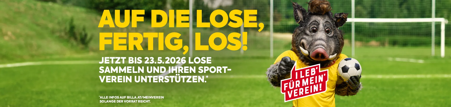 Auf die Lose, fertig, los! Jetzt bist 23.5.2026 Lose sammeln und ihren Sportverein unterstützen.