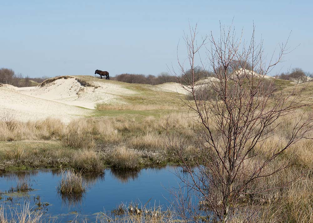 Duinwater Evides in Haamstede