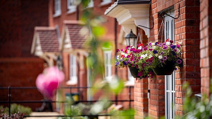 A row of modern, terraced houses with pretty hanging baskets 