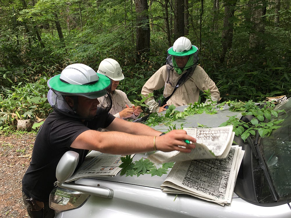 Rapid Botanic Survey work in Hokkaido. OBGA 2019