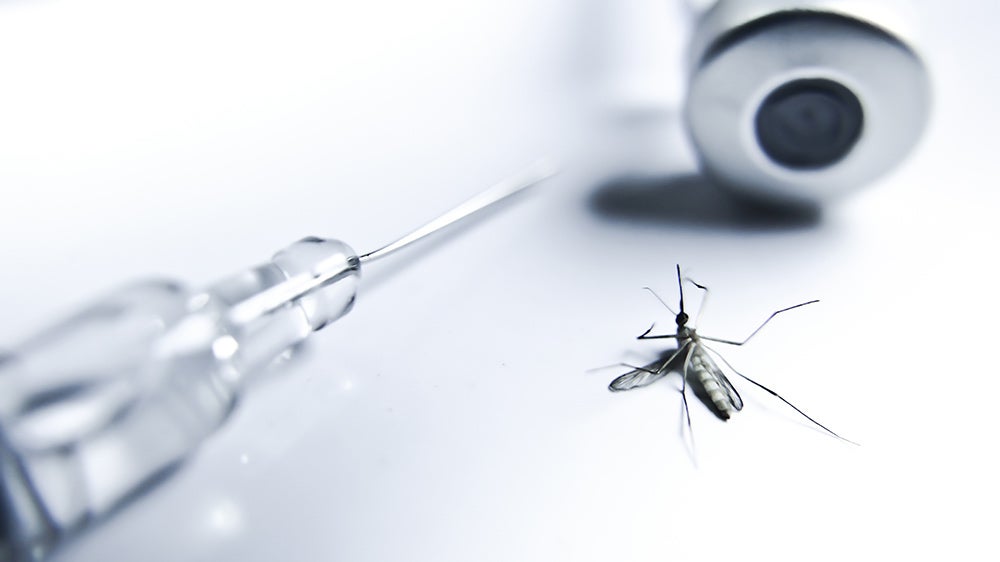 Malaria vaccination and mosquito. Credit: Shutterstock.