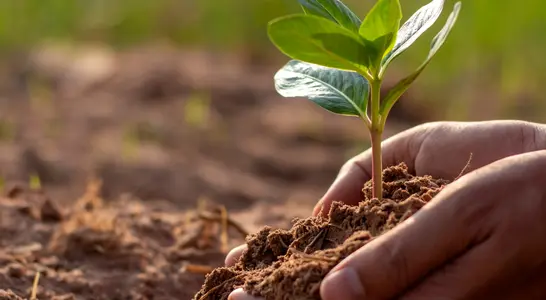 Tag der Naturwissenschaften