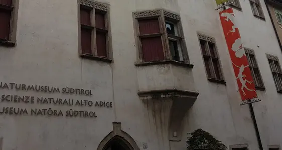 Naturmuseum in Bozen: Anpassungs- und Sanierungsarbeiten