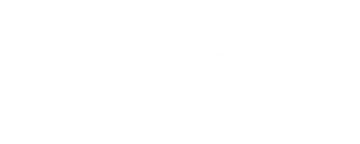 The Brave logo in the color white.