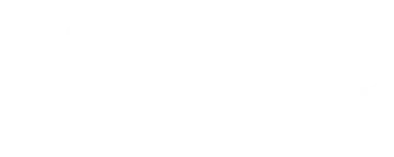 The Type03 logo in the color white.
