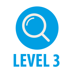 Auditing Level 3 Auditing Level 3