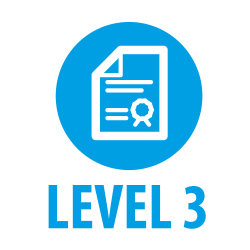 Assessing Level 3 Assessing Level 3