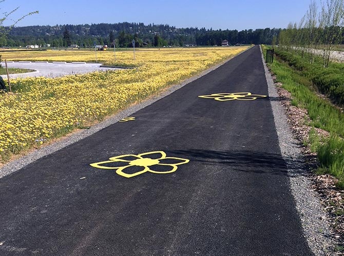 Daffodil pattern on a roadway.