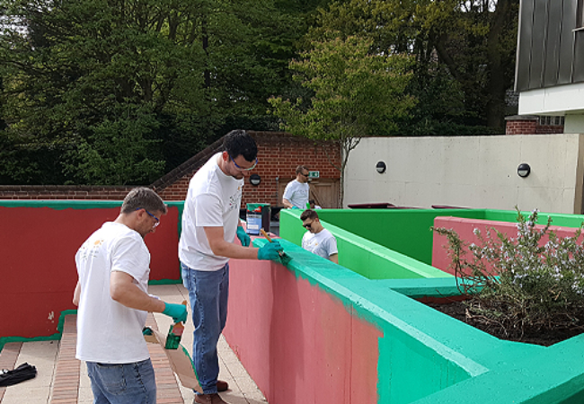 group of volunteers painting wall green 