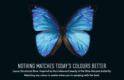 Advert featuring blue butterfly