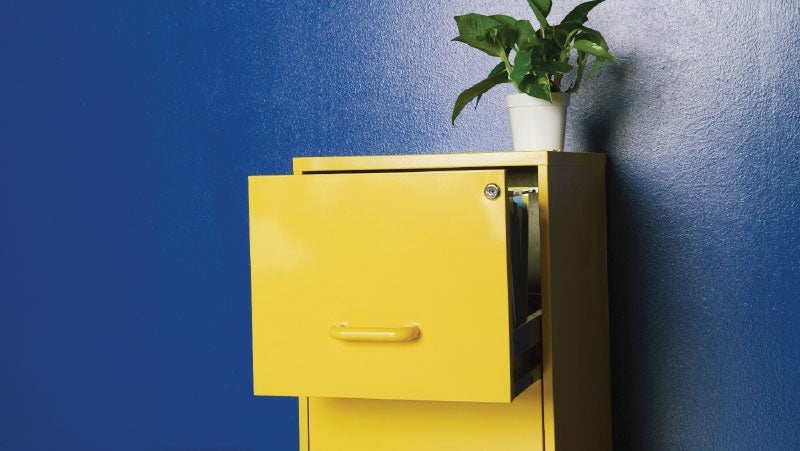 Yellow file cabinet with an open drawer against a royal blue wall, adorned by a potted plant on top