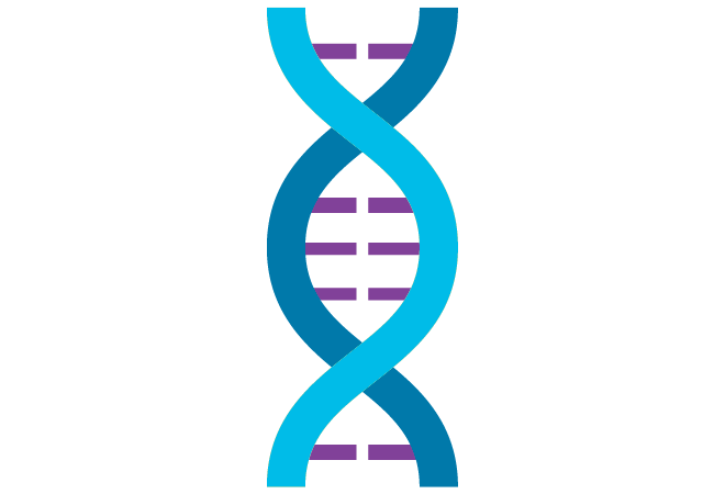 DNA 