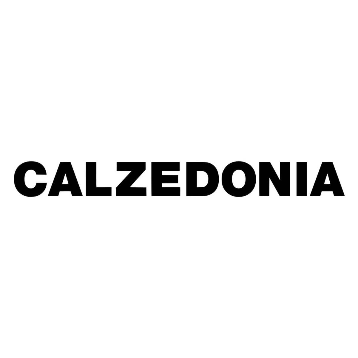 Carat remporte l'appel d'offre média du groupe Calzedonia