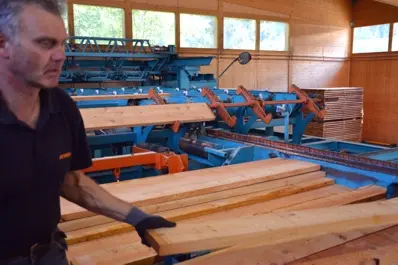 Selezione in base alla qualitá