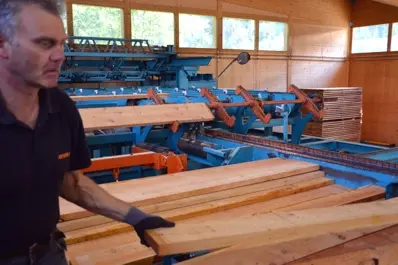 Selezione in base alla qualitá